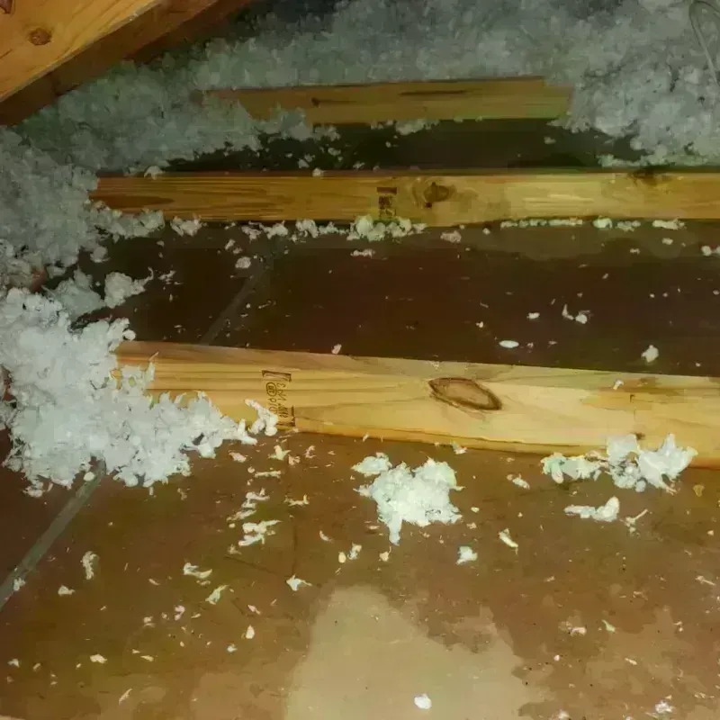 Attic Water Damage in Frankton, IN