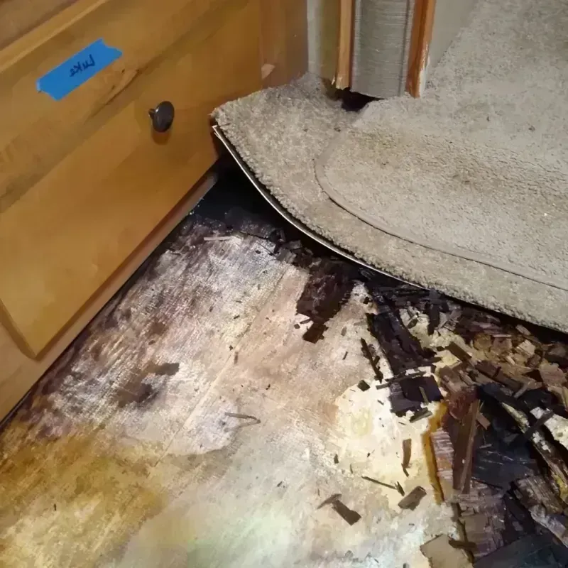 Best Wood Floor Water Damage Service in Frankton, IN